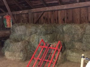 Hayloft filled with enough hay for the winter.