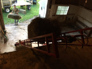 A hay bale on its way up the hay elevator.