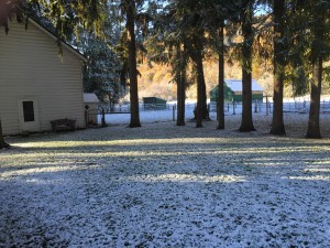 Snow 1