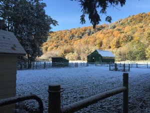 First Snow Fall with Fall Foliage in the background