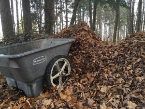 Leaf pile