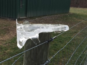 Inch thick ice from the water buckets.