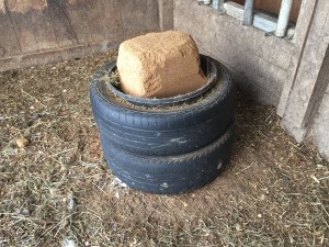 Elevated Feeding Bin in Action with Mineral Block