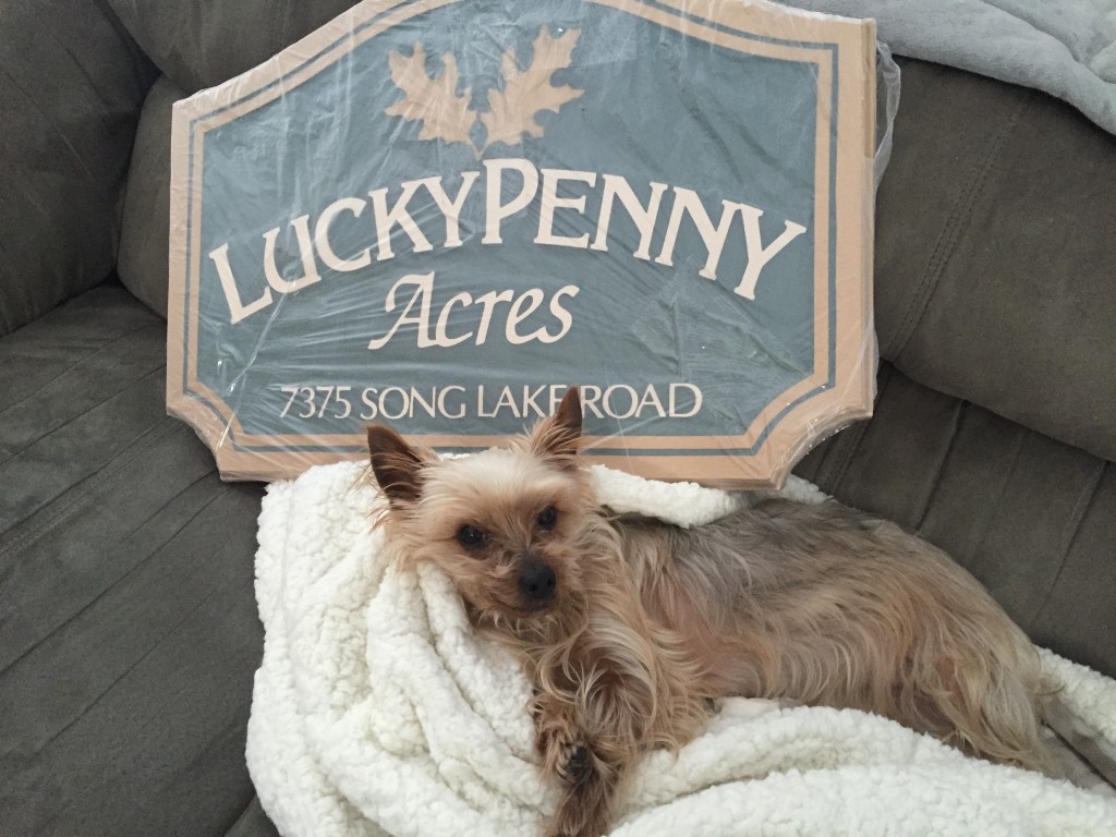 Our lucky dog Penny next to the Lucky Penny Acres sign.