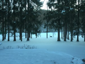 Snow covered yard and pastures in April.