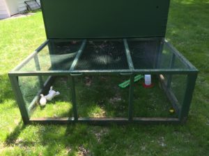 Front of the chicken tractor.