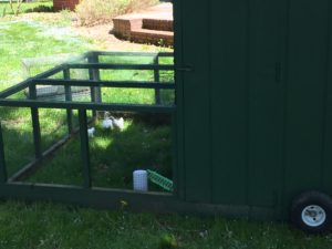 Front view of the chicken tractor.