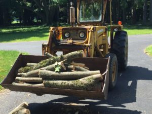 Cleaning up a downed tree using the loader.