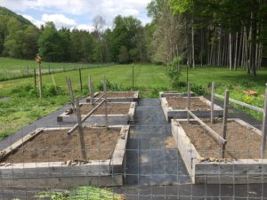 Our garden shortly after planting in late May 2016.