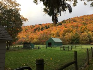fall-2016-colors-4