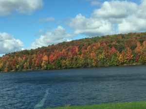 fall-2016-colors-5