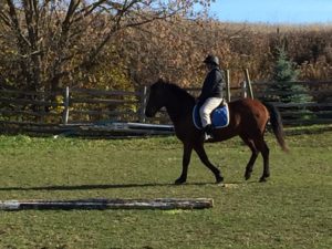 Rainie on her test ride.